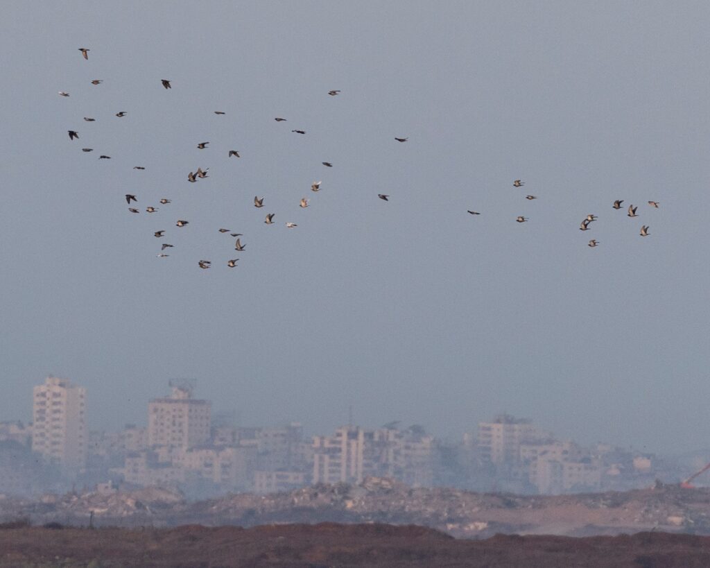 The Geopolitical Gamble of Trump’s Board of Peace