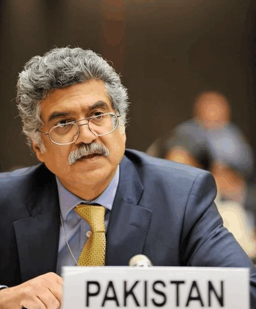 Picture of Amb. Zamir Akram