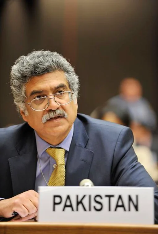 Picture of Amb. Zamir Akram