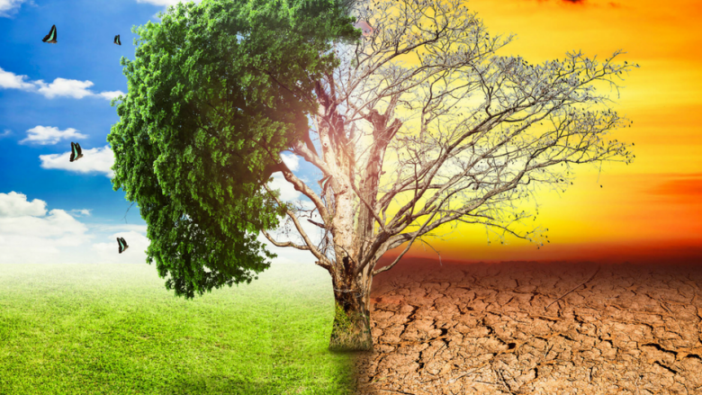 Playing for Survival: How Climate Gaming is Shaping Pakistan’s Environmental Future