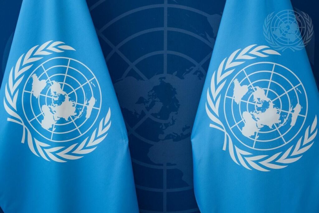 Is the UN Sacrificing Women's Rights for Efficiency?