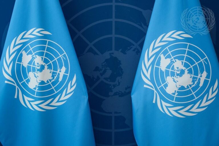 Is the UN Sacrificing Women's Rights for Efficiency?